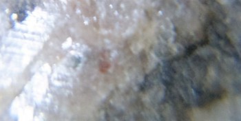 DSC07215.не может быть 9.jpg