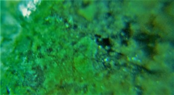 DSC07216. не может быть 10.jpg