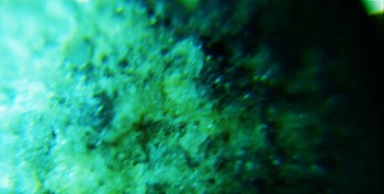 DSC07217. не может быть 11.jpg