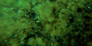 DSC07218. не может быть 13.jpg