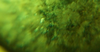 DSC07219. не может быть 14.jpg