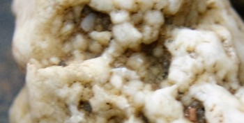 DSC07667. реальность.jpg