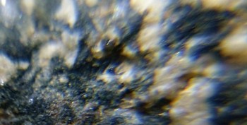 DSC07672. реальность5.jpg