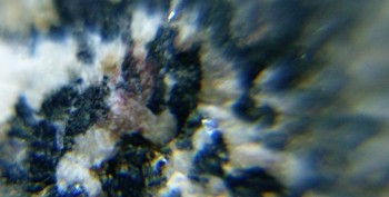 DSC07673. реальность7.jpg