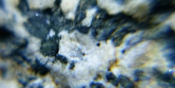 DSC07674. реальность8.jpg