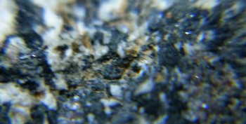 DSC07675. реальность9.jpg