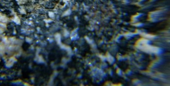 DSC07675. реальность10.jpg