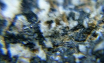 DSC07675. реальность11.jpg