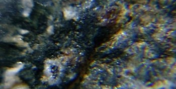 DSC07676. реальность12.jpg