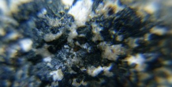 DSC07679. реальность17.jpg