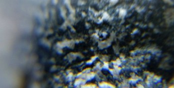 DSC07683. реальность21.jpg