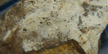 DSC07685. реальность22.jpg