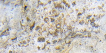 DSC07685. реальность23.jpg