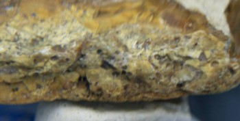 DSC07686. реальность24.jpg