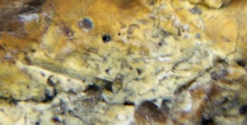 DSC07687. реальность25.jpg