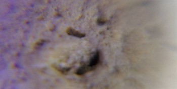 DSC07691. реальность28.jpg