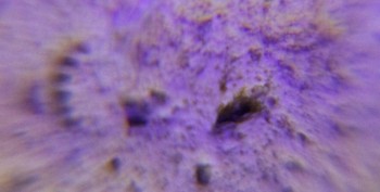 DSC07693. реальность31.jpg