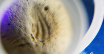 DSC07694. реальность32.jpg