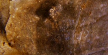 DSC07696. реальность34.jpg