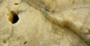 DSC07696. реальность35.jpg