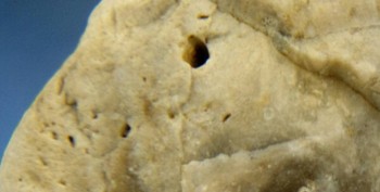 DSC07696. реальность36.jpg