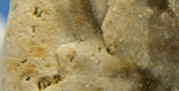 DSC07696. реальность37.jpg