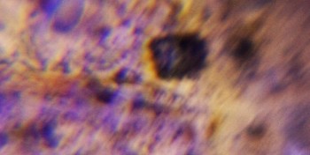 DSC07703. Зрение.jpg