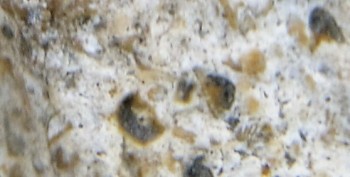 DSC07705. Зрение5.jpg