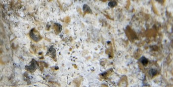 DSC07705. Зрение6.jpg