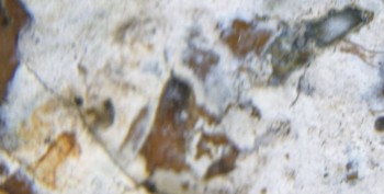 DSC07706. зрение8.jpg