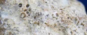 DSC07706. зрение9.jpg