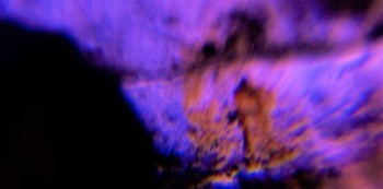 DSC07708. зрение11.jpg