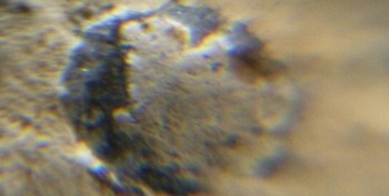 DSC07710. зрение13.jpg