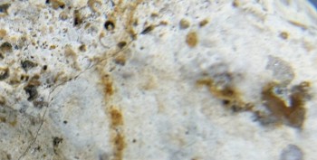 DSC07711 зрение15.jpg