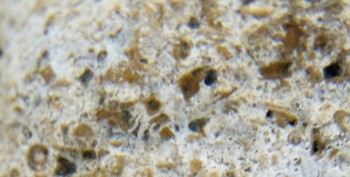 DSC07711. зрение16.jpg