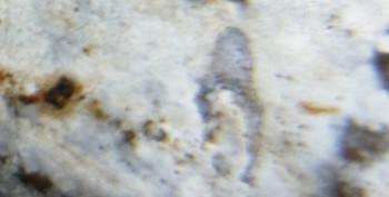 DSC07711. зрение17.jpg