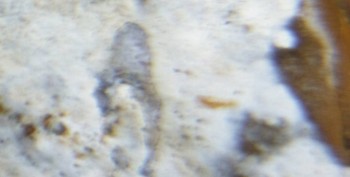 DSC07711. зрение18.jpg