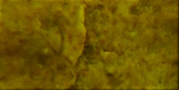 DSC07805. Линза3.jpg