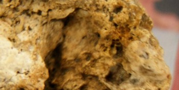 DSC07806. Линза4.jpg