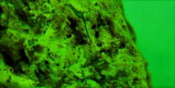 DSC07807. Линза5.jpg