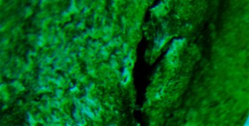 DSC07810. Линза8.jpg