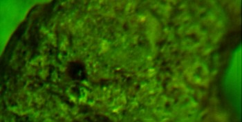 DSC07813. Линза11.jpg