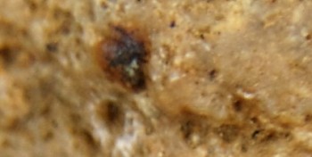 DSC07815. Линза14.jpg