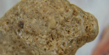 DSC07815. Линза15.jpg