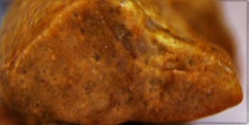 DSC07818. Линза19.jpg