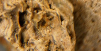 DSC07819. Линза20.jpg