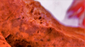 DSC07821. Линза21.jpg