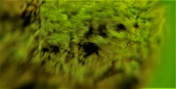 DSC07832. Линза31.jpg