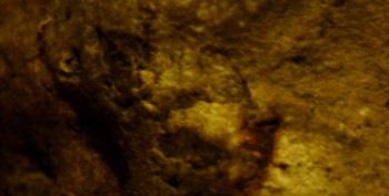 DSC07872. Головастик1.jpg