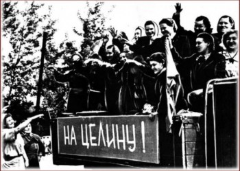 целина.jpg